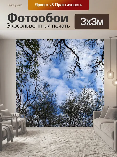 Фотообои облака над деревьями