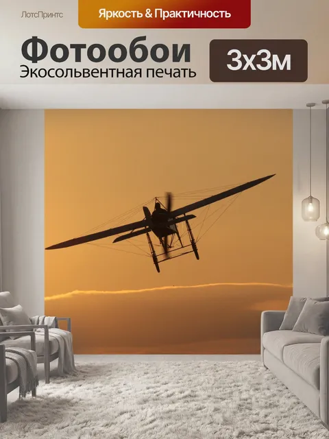 Фотообои Городке блерио ix