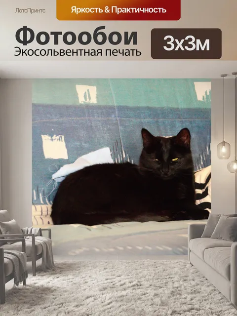 Фотообои Кот лежал на диване