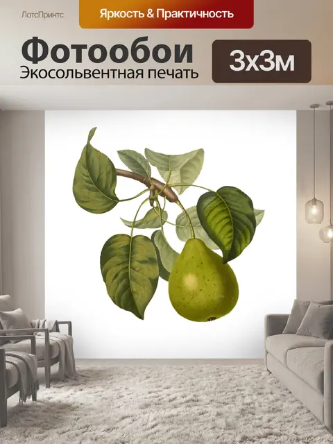 Фотообои Плоды груши винтажные