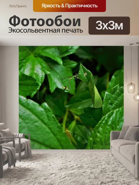 Фотообои Листья