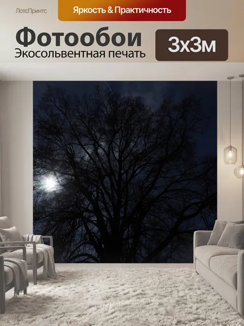 Фотообои Дерево