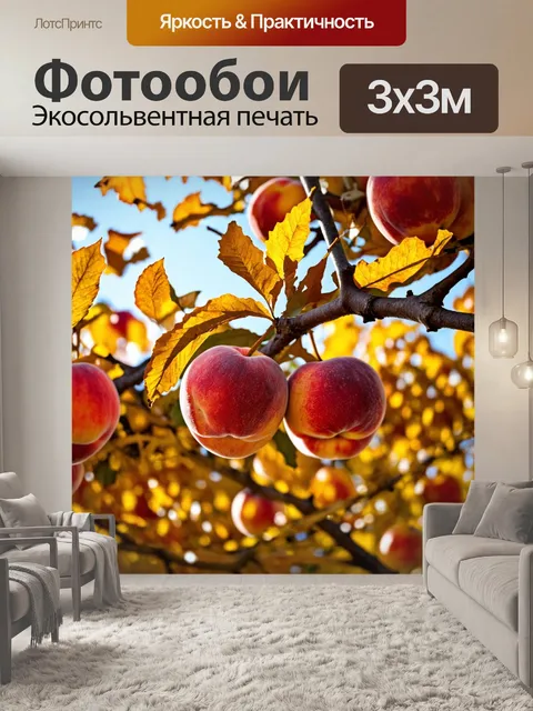 Фотообои осень уборка урожая, крупный план спелых персиков, фермер обрезает ветви деревьев, золотистые листья, теплый…