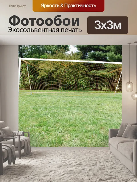 Фотообои Goal