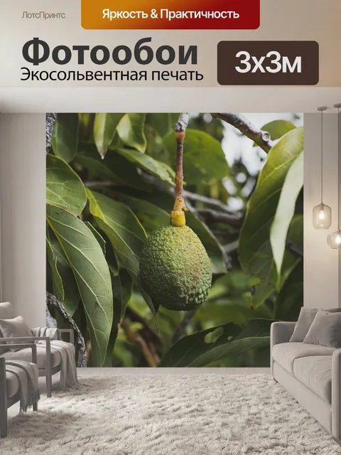 Фотообои Авокадо