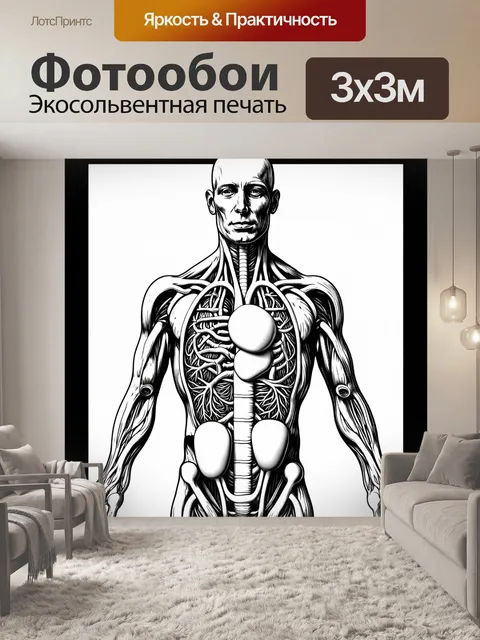 Фотообои техническое изображение системы кровообращения