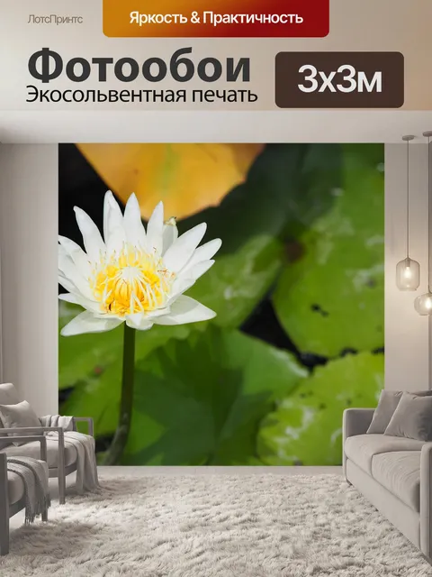 Фотообои Лотос