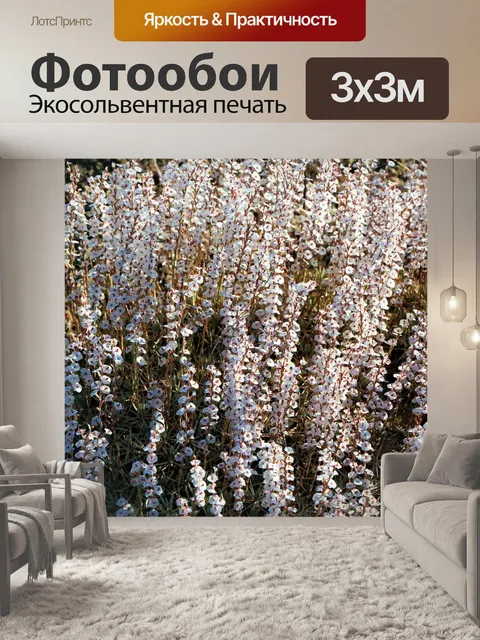 Фотообои Цветы