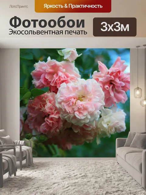Фотообои Кластер из розовых роз