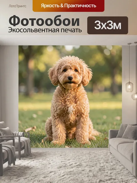 Фотообои Кудрявый щенок на лужайке