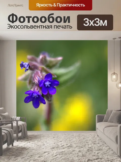 Фотообои Васильковый