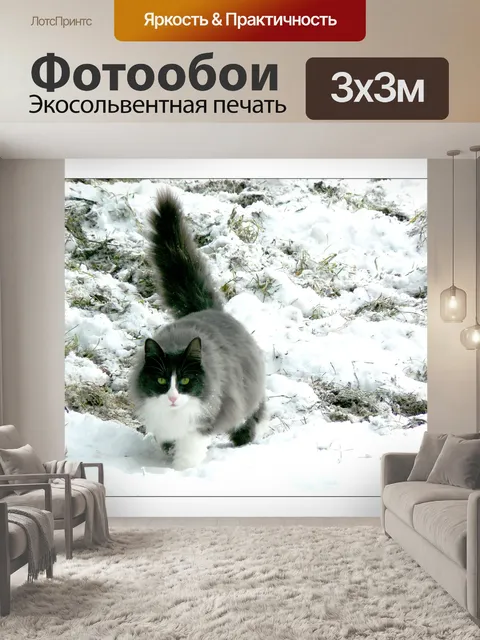 Фотообои Кот