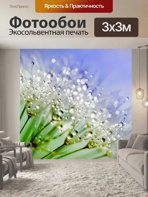 Фотообои Одуванчики Dew Drops