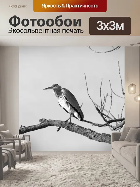 Фотообои Большая голубая цапля