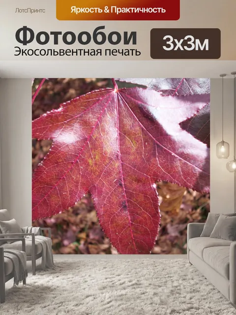 Фотообои Осенний лист