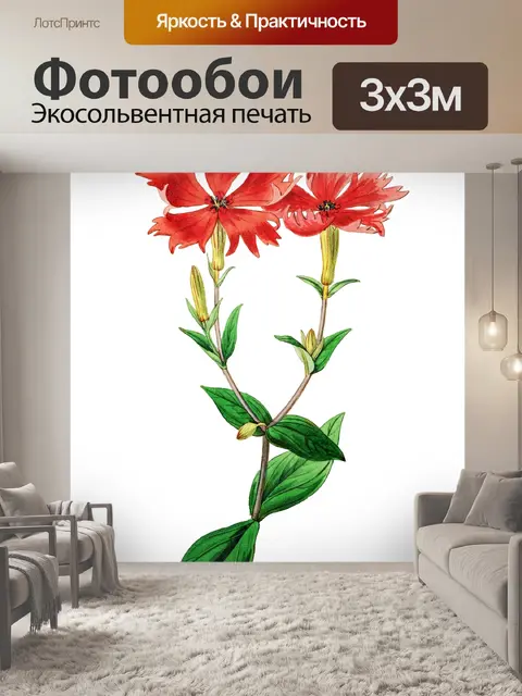 Фотообои Клипарт Цветочная роспись искусства