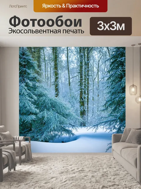Фотообои зимний пейзаж с замёрзшими деревьями и инеем