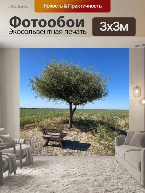 Фотообои прованс: меловой холм с ярким оливковым деревом в центре