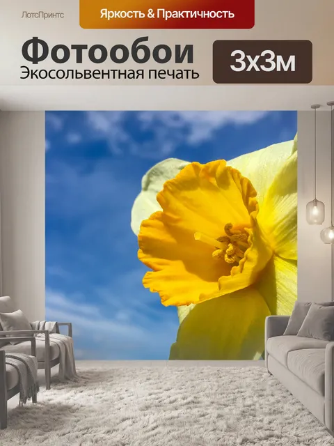 Фотообои Желтый нарцисс