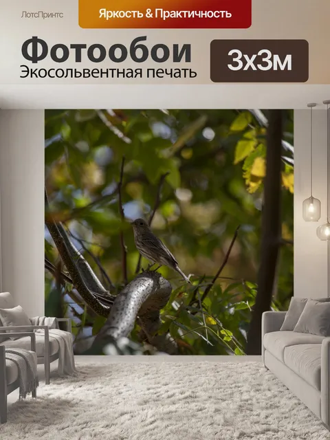 Фотообои Дом Финч Женский на Ветка