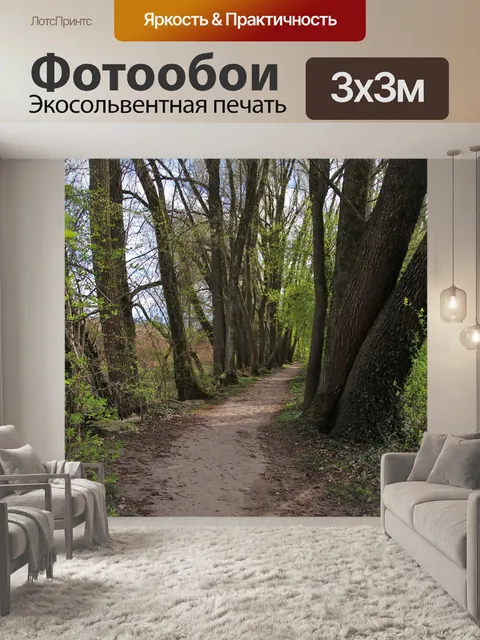 Фотообои Путь