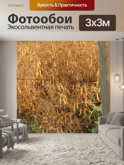 Фотообои Ферма Золотой Peas Растениеводство