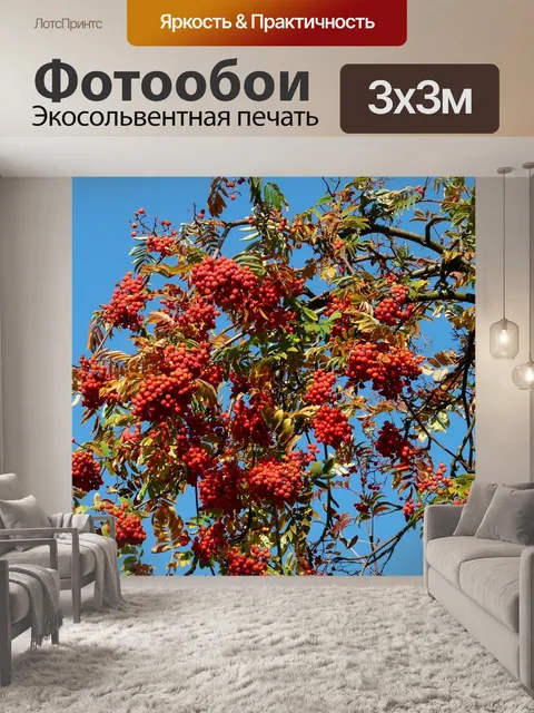 Фотообои Рябина