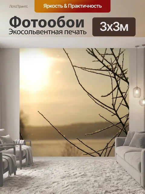 Фотообои Солнечный свет