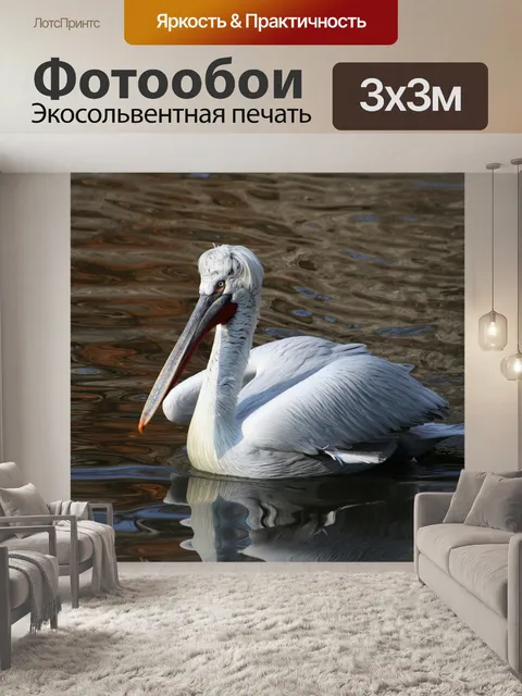 Фотообои Птица