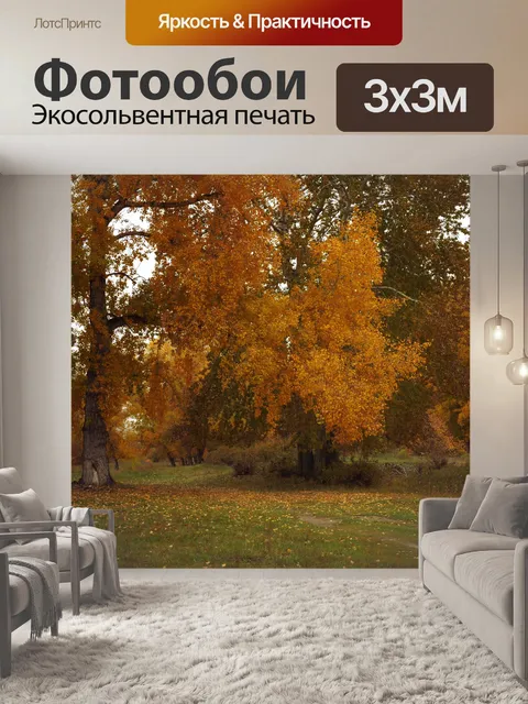 Фотообои Осень в лесу