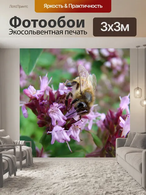 Фотообои Би