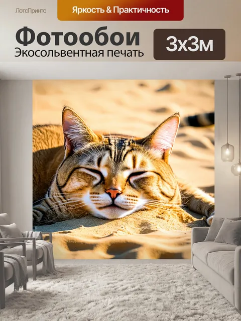 Фотообои кот, лежащий в теплом песке, закрыв глаза от солнца