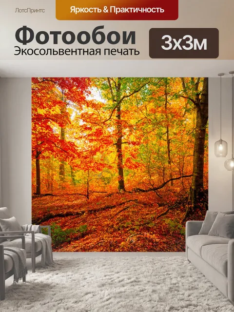 Фотообои деревья в осеннем лесу, когда листья окрашиваются в золотые, красные и оранжевые тона