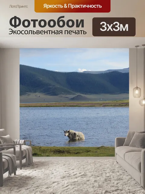 Фотообои Як