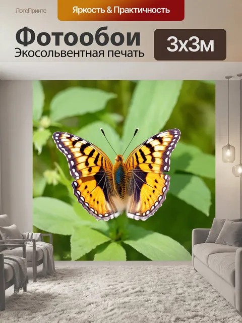 Фотообои бабочки