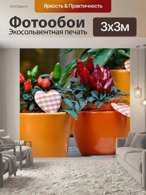 Фотообои Перец чили в цветочном горшке