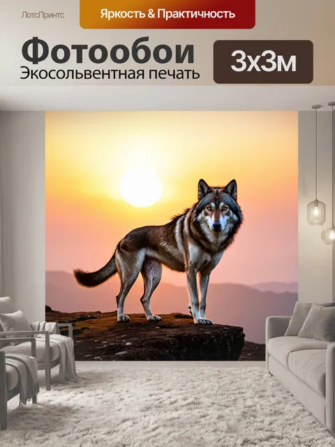 Фотообои волчица, стоящая на утесе и смотрящая на закат
