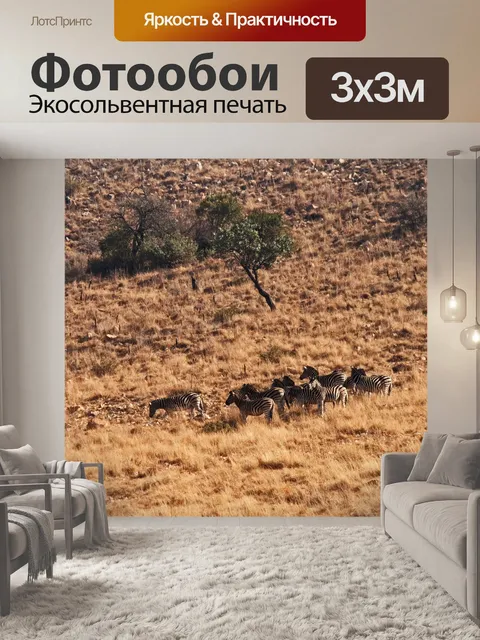Фотообои группа зебры Берчелла на склоне