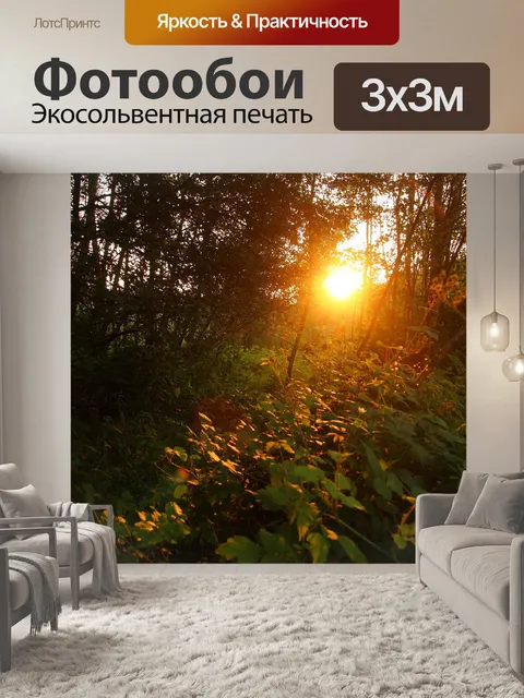 Фотообои Заходящее солнце
