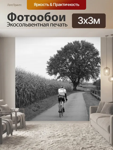 Фотообои Велосипедист