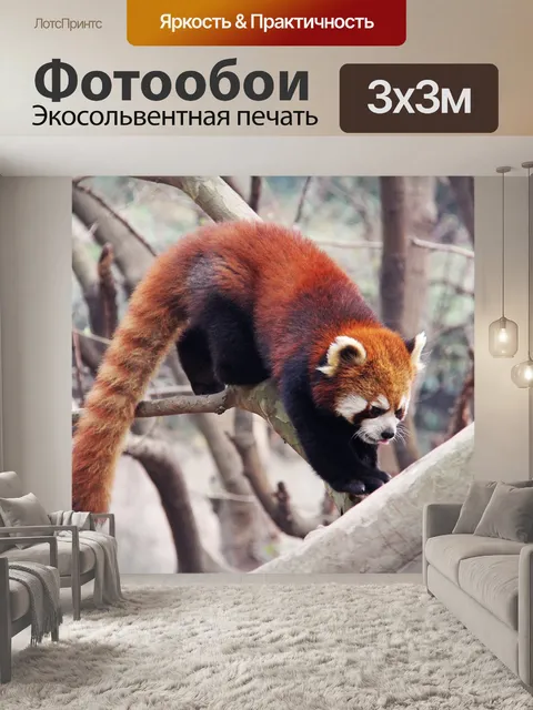 Фотообои Милый
