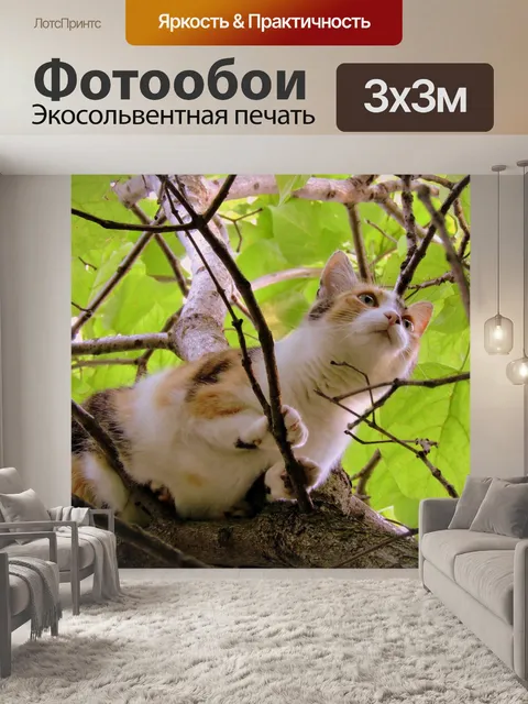 Фотообои Кошка