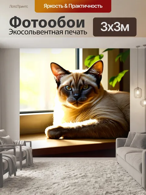 Фотообои изображение сиамского кота, уютно свернувшегося в клубок рядом с окном
