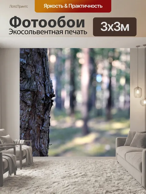 Фотообои Лес