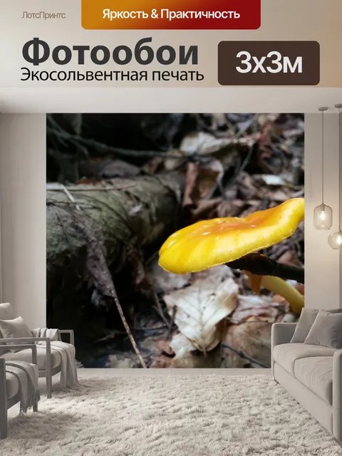 Фотообои Желтый гриб