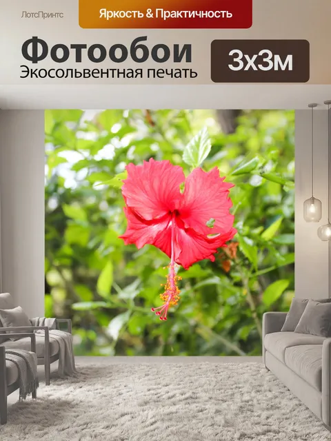 Фотообои Красный Гибискус