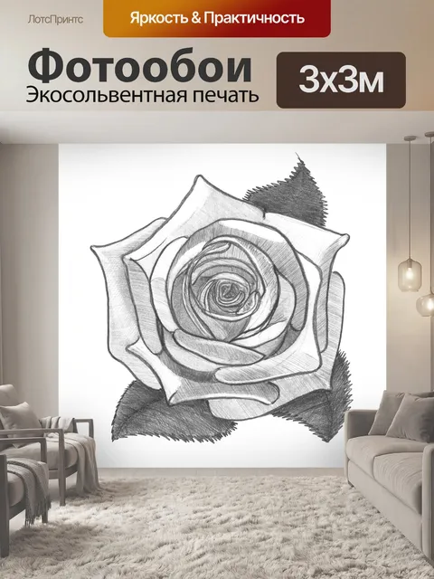 Фотообои Роза. Карандашный рисунок