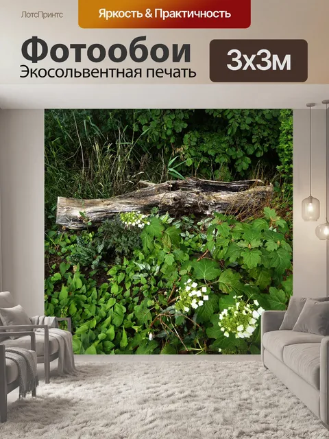 Фотообои Декоративные сад