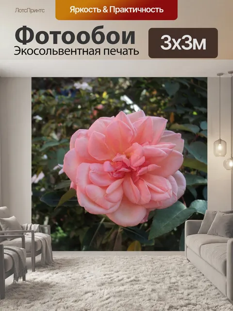 Фотообои Сад