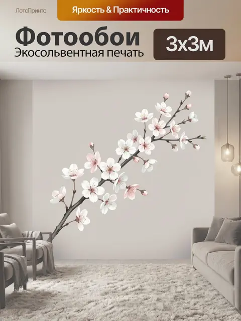 300 × 300 см · Экосольвентная печать